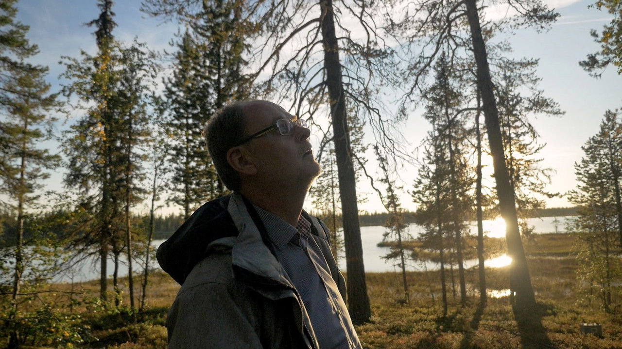 Ghost Rockets backdrop