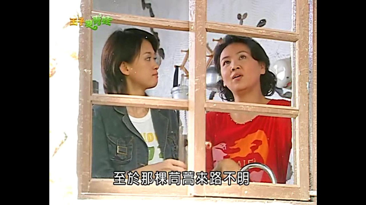 The Prince Who Turns Into a Frog — Épisode 8