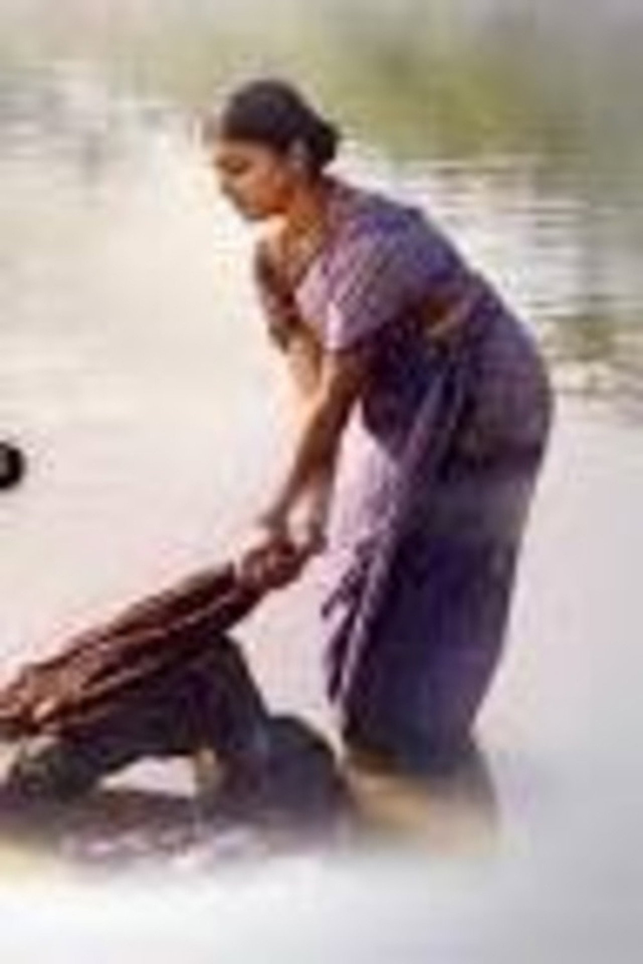 ନୀଳ ମାଷ୍ଟରାଣୀ filmaffisch