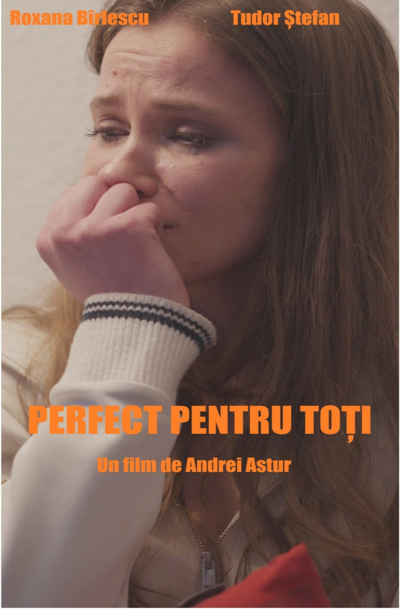 Perfect pentru toți filmaffisch