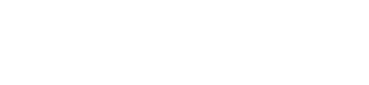 The Fixers