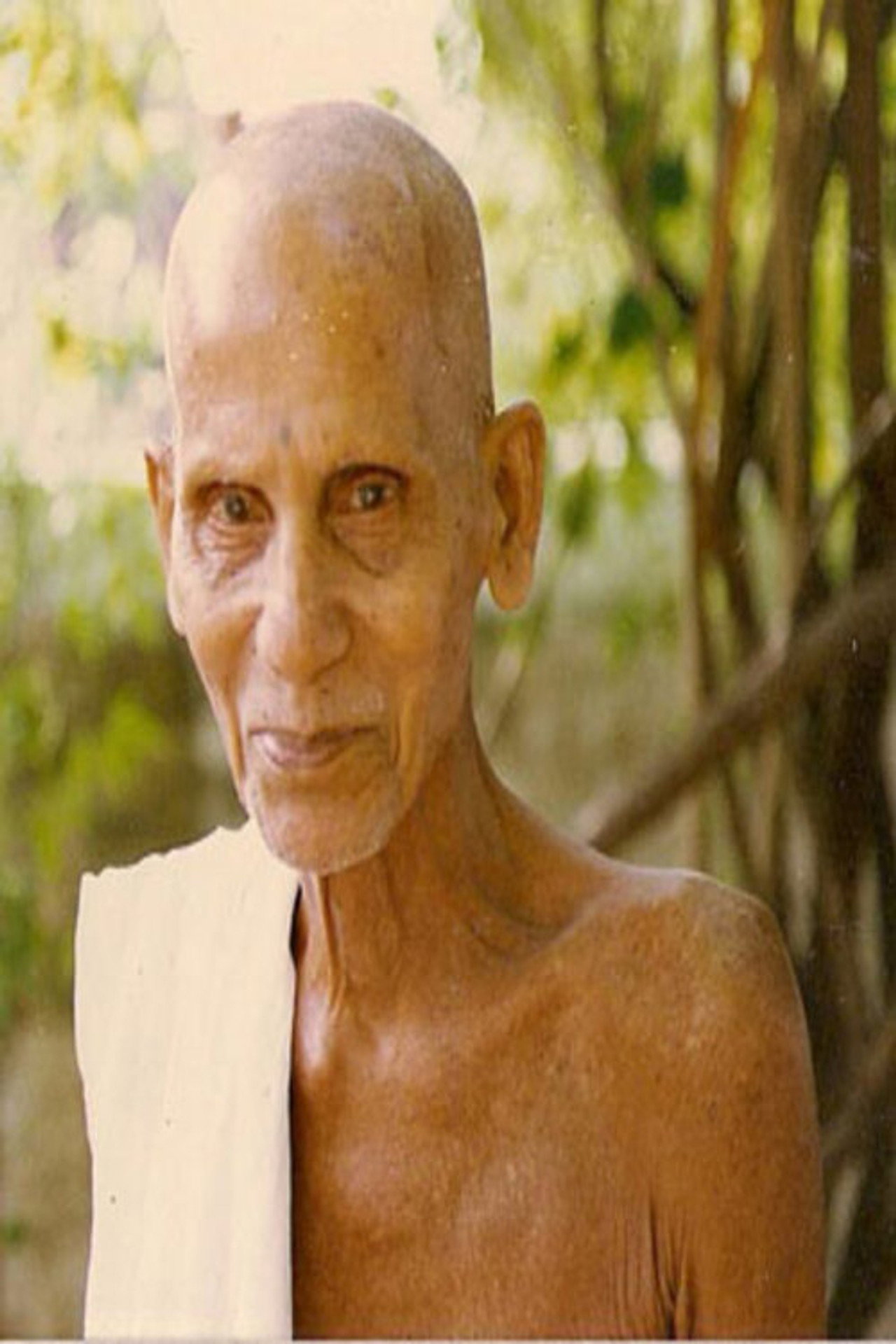 An Interview with Annamalai Swami by Jim Lemkin Backdrop