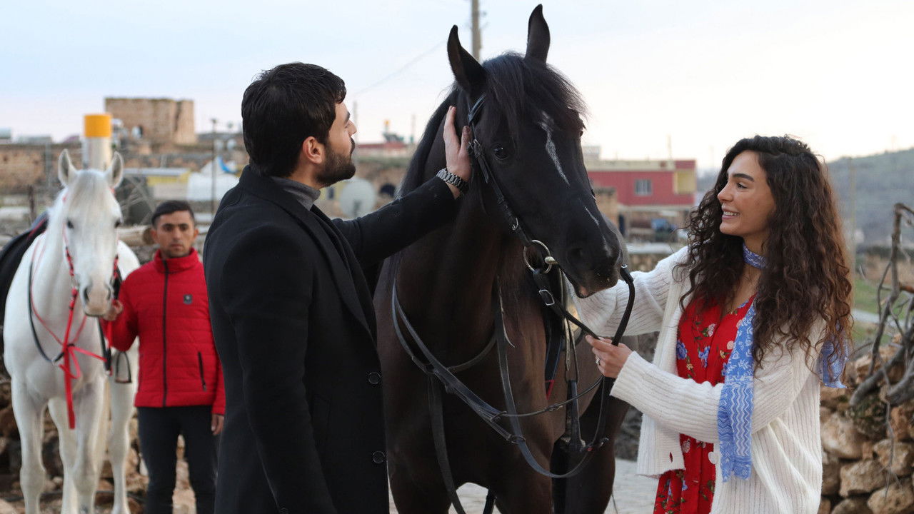 Hercai - Season 2 Episode 25 : Episode 25