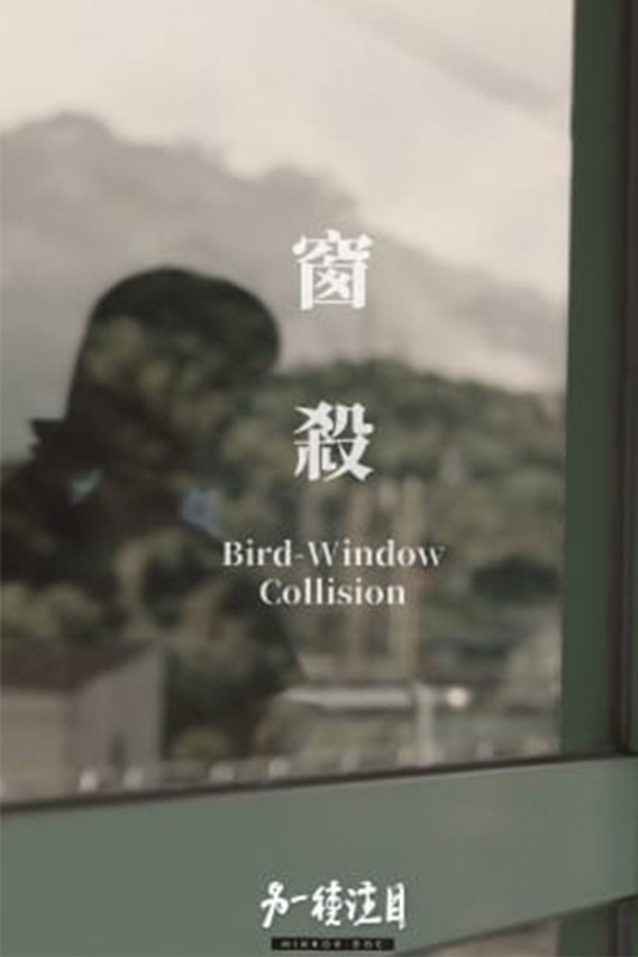 窗殺 filmaffisch