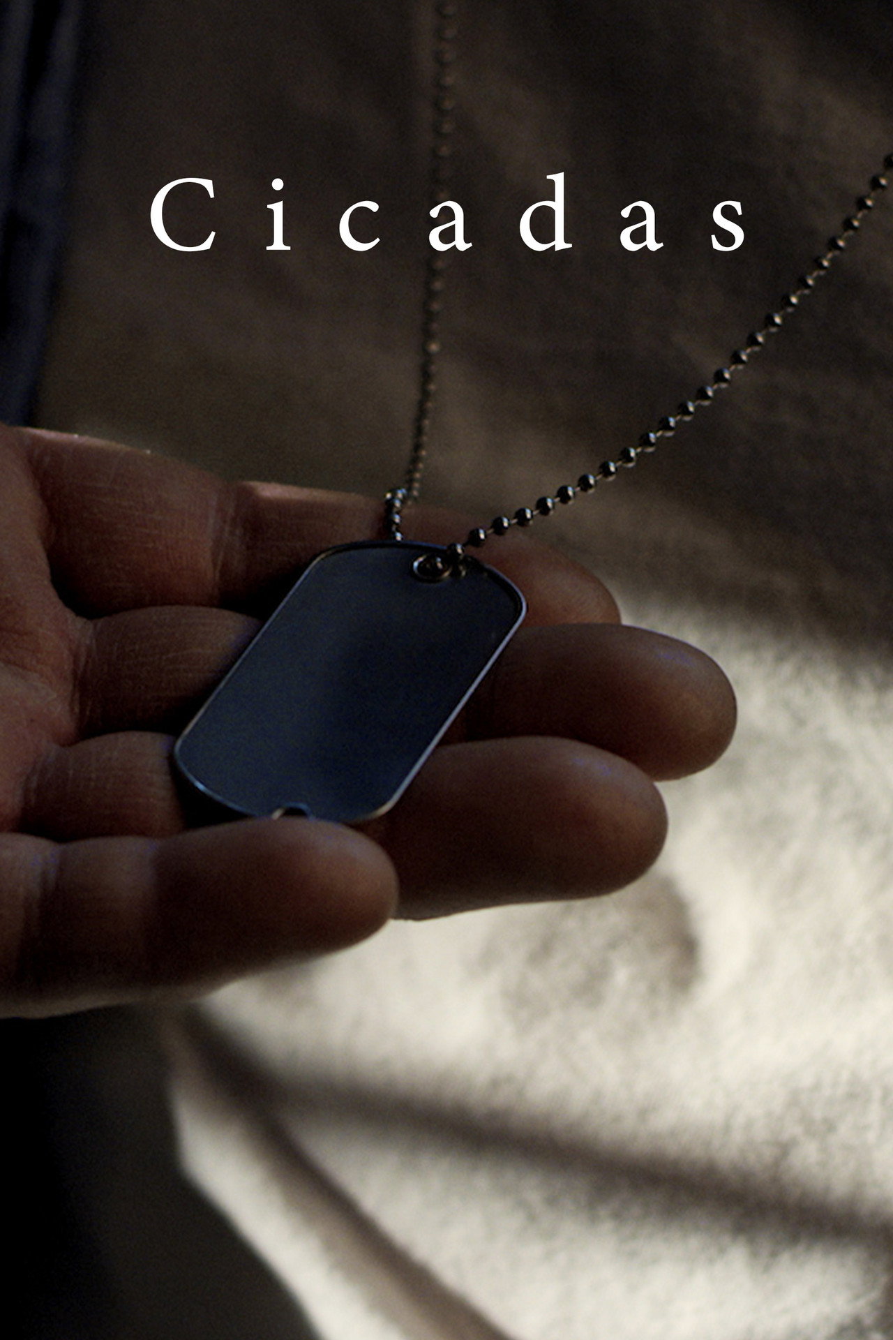 Cicadas