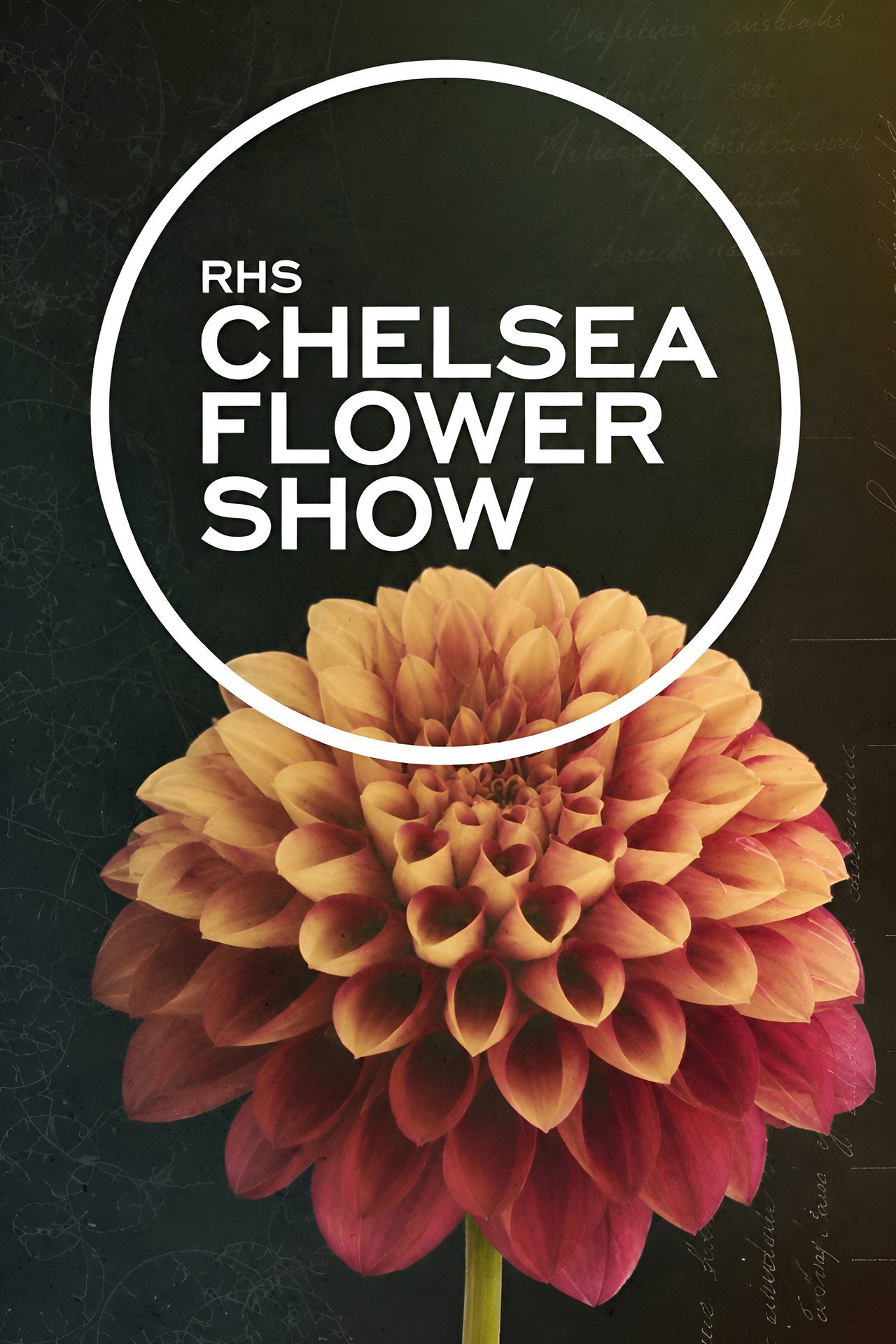 RHS Chelsea Flower Show poster