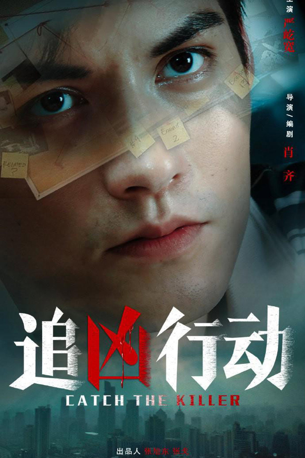 追凶行动 filmaffisch