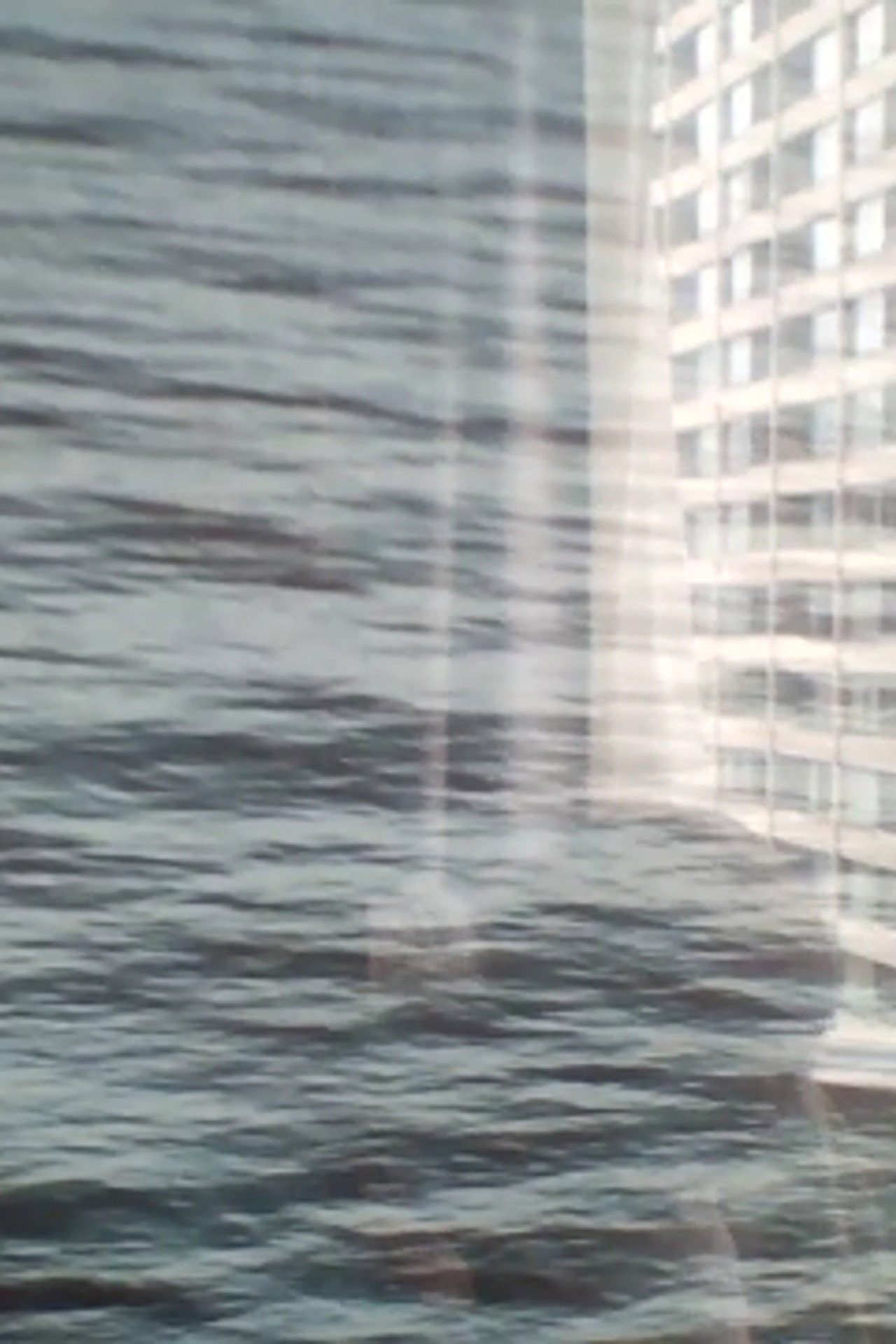 Remembering Wavelengths Backdrop