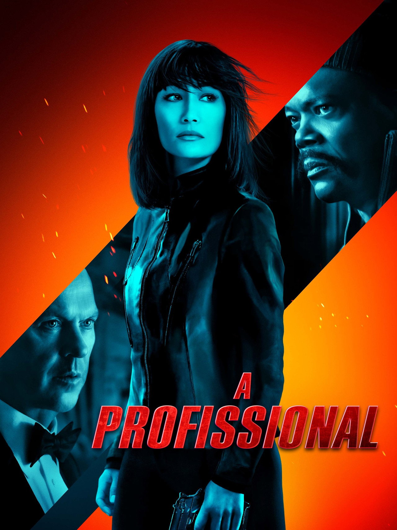 Pôster de A Profissional