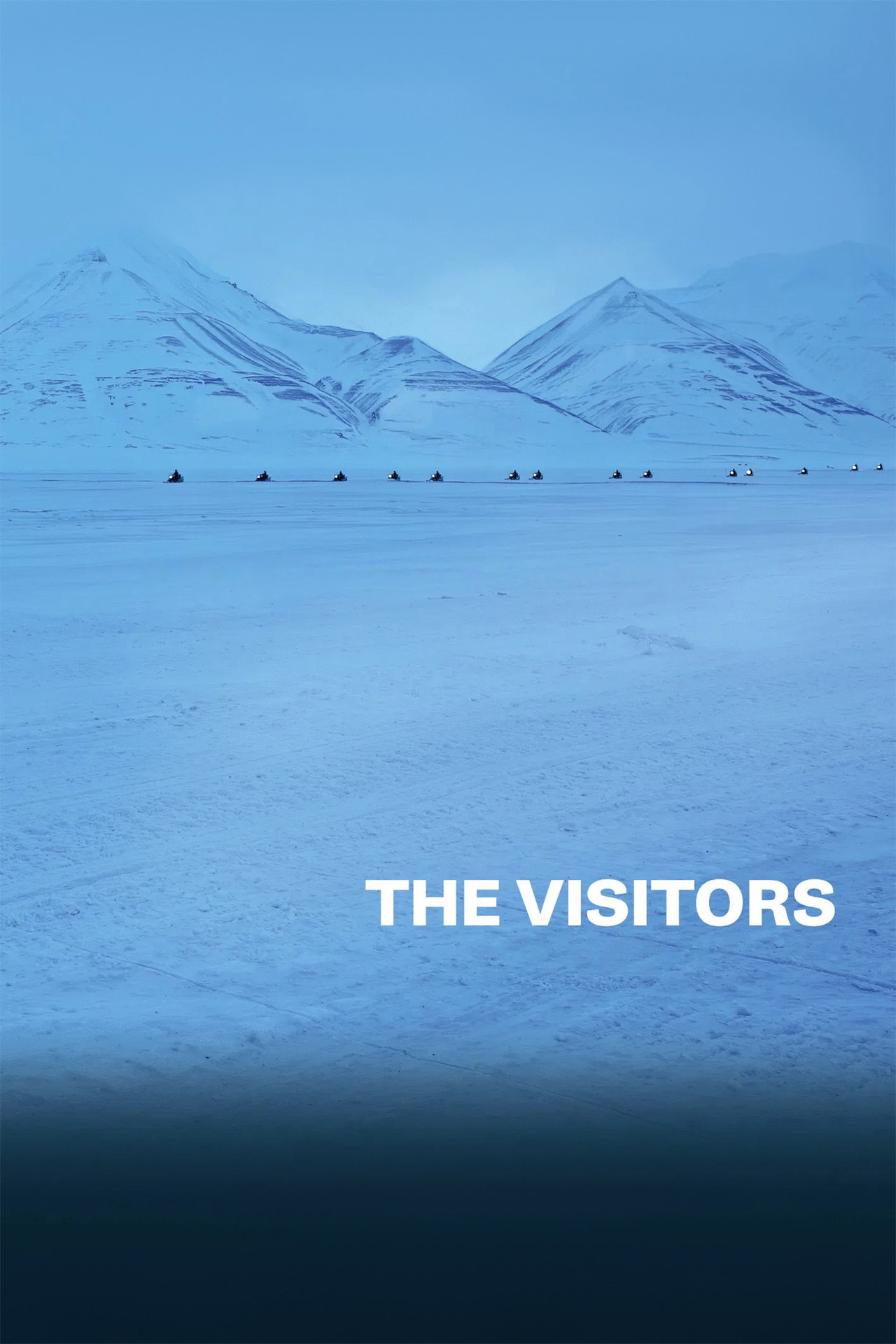 The Visitors