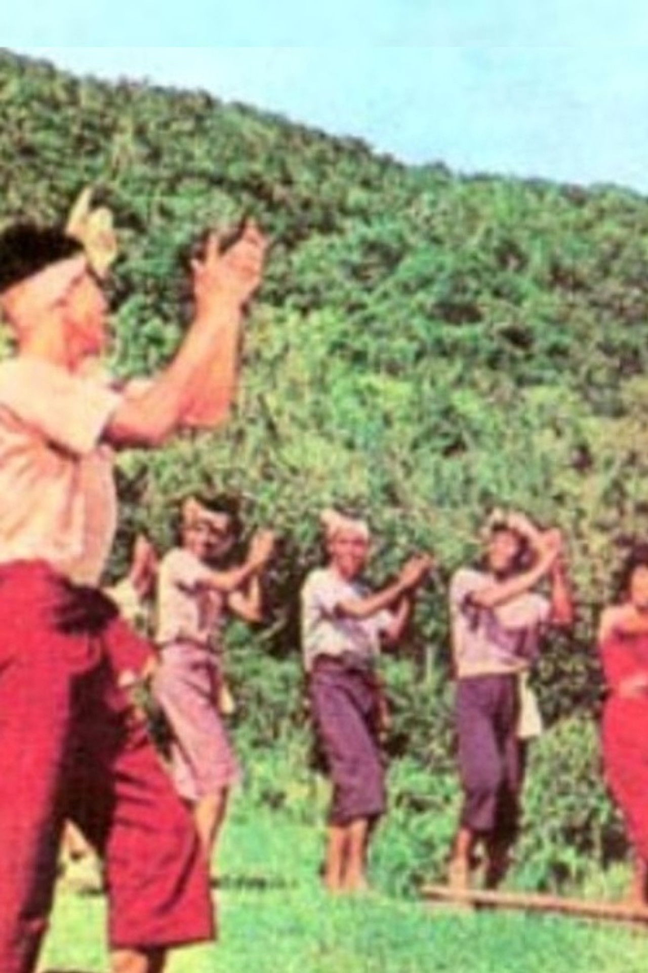 The Enchanted Forest Backdrop