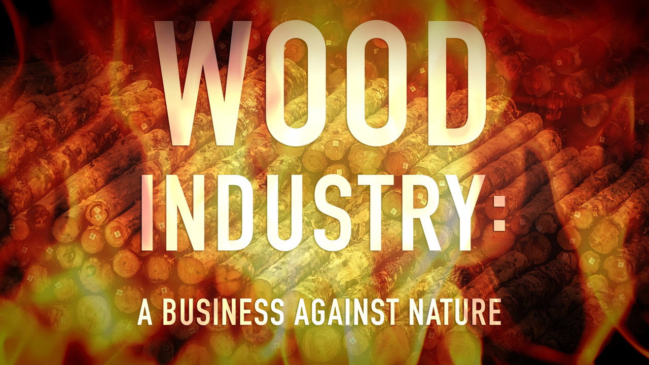 Backdrop for Wood Industry A Business Against Nature