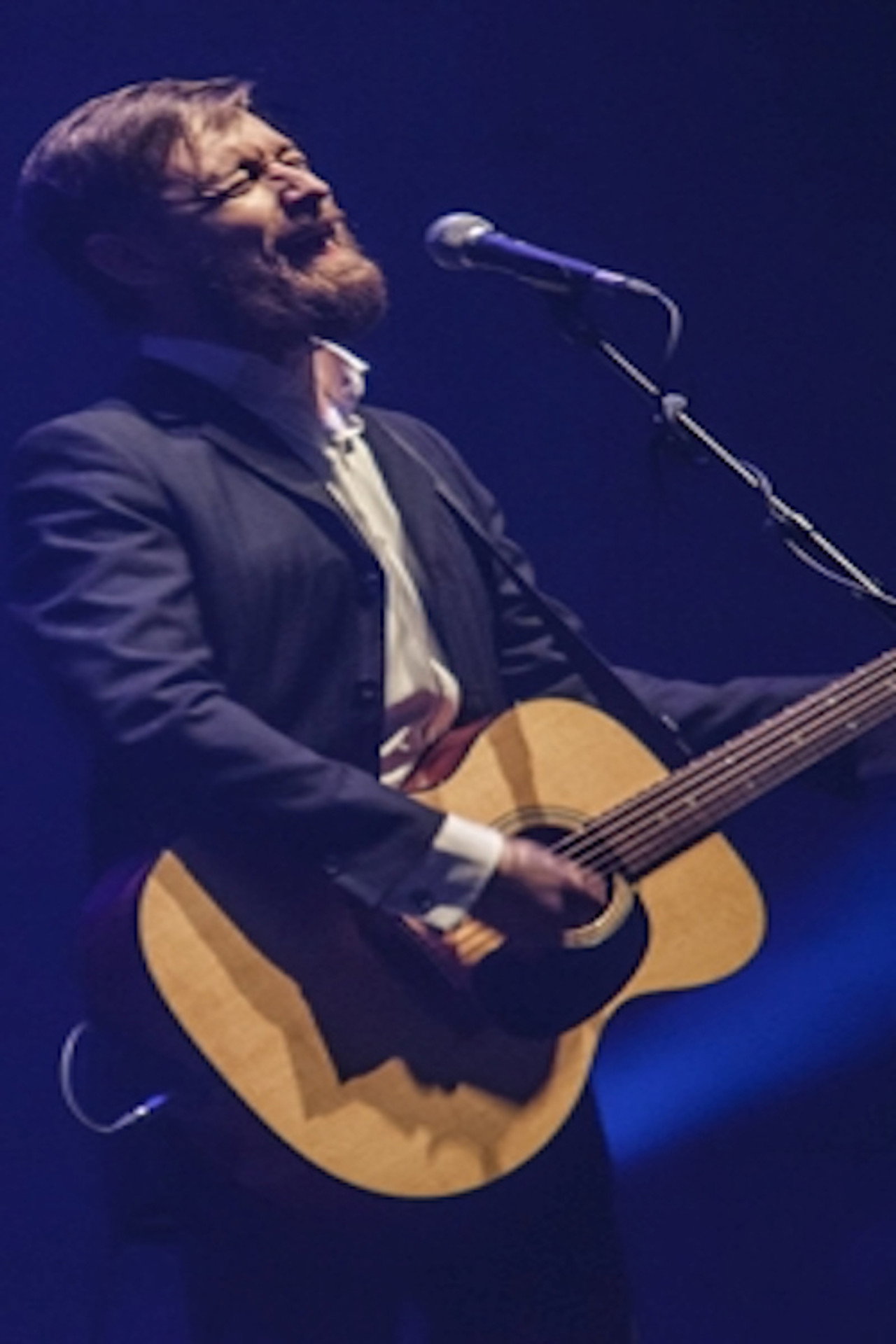 The Divine Comedy - Philharmonie de Paris 2015. filmaffisch