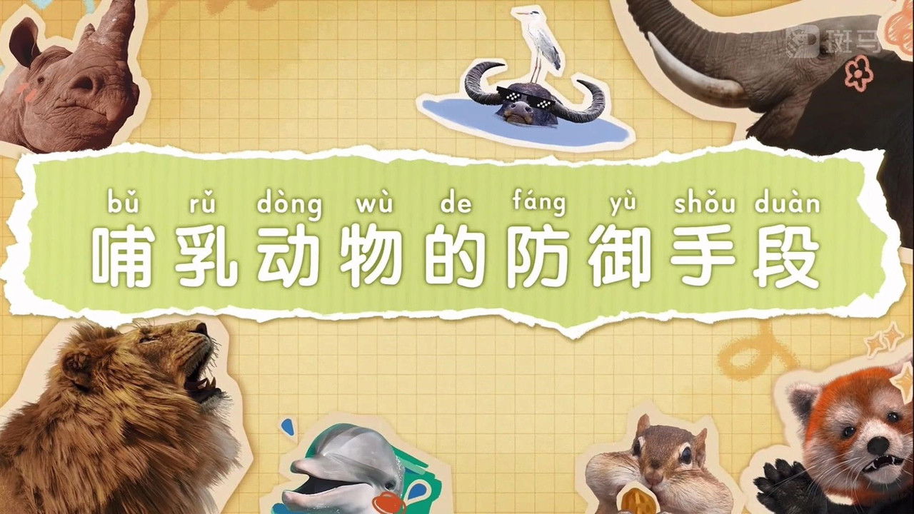 斑马百科 — Épisode 7