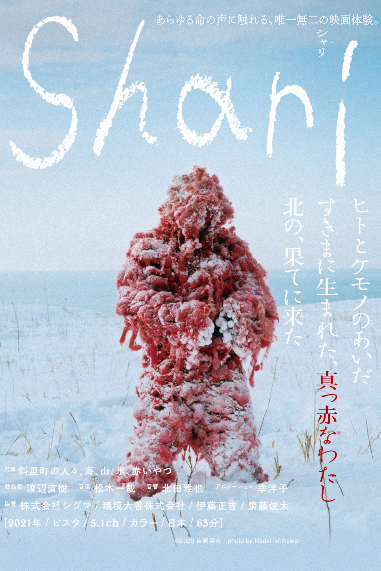 シャリ filmaffisch
