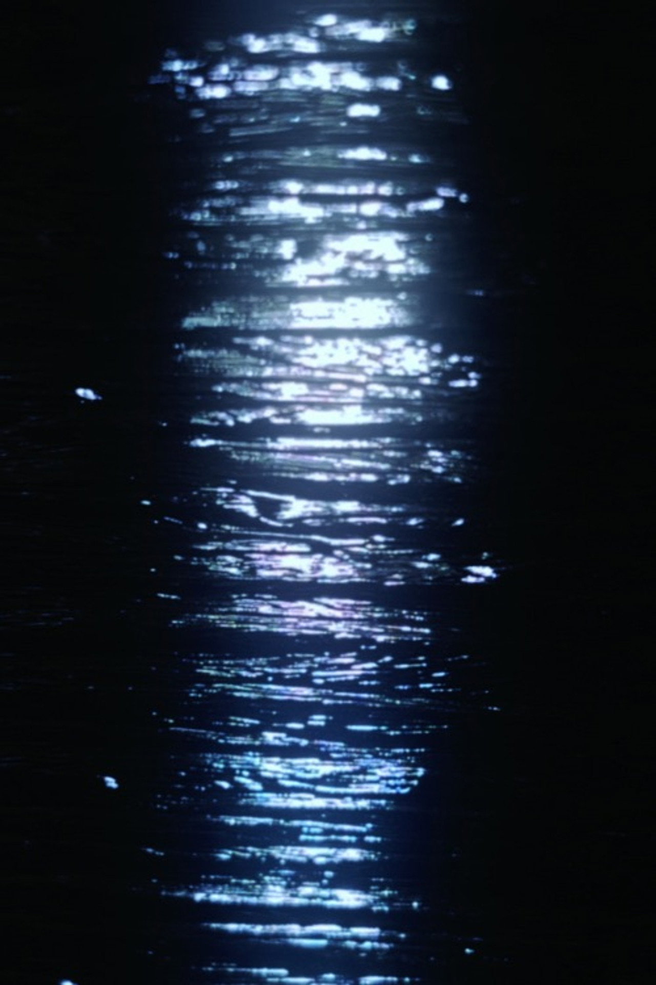 December Lights filmaffisch