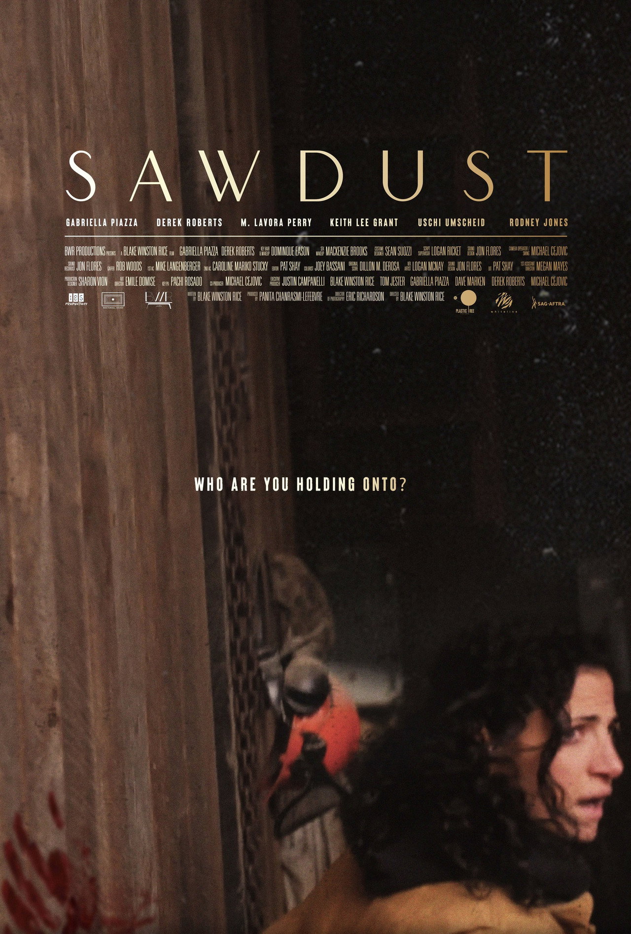 Sawdust Backdrop