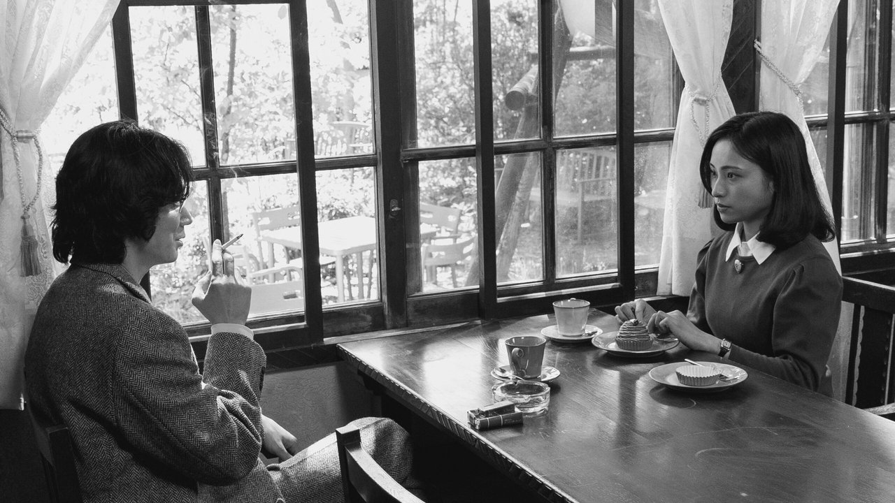 The Stars and the Moon are Holes in the Sky