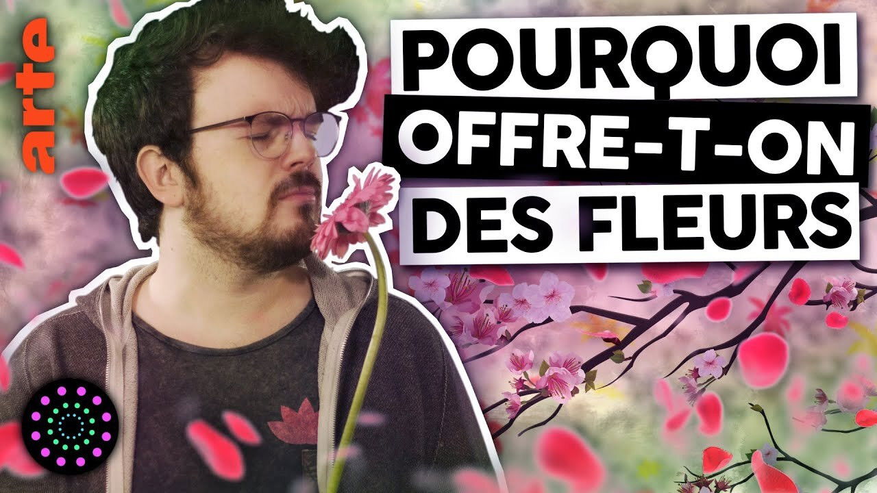Le Vortex — Dites-le avec des angiospermes 🌼🌷🌹