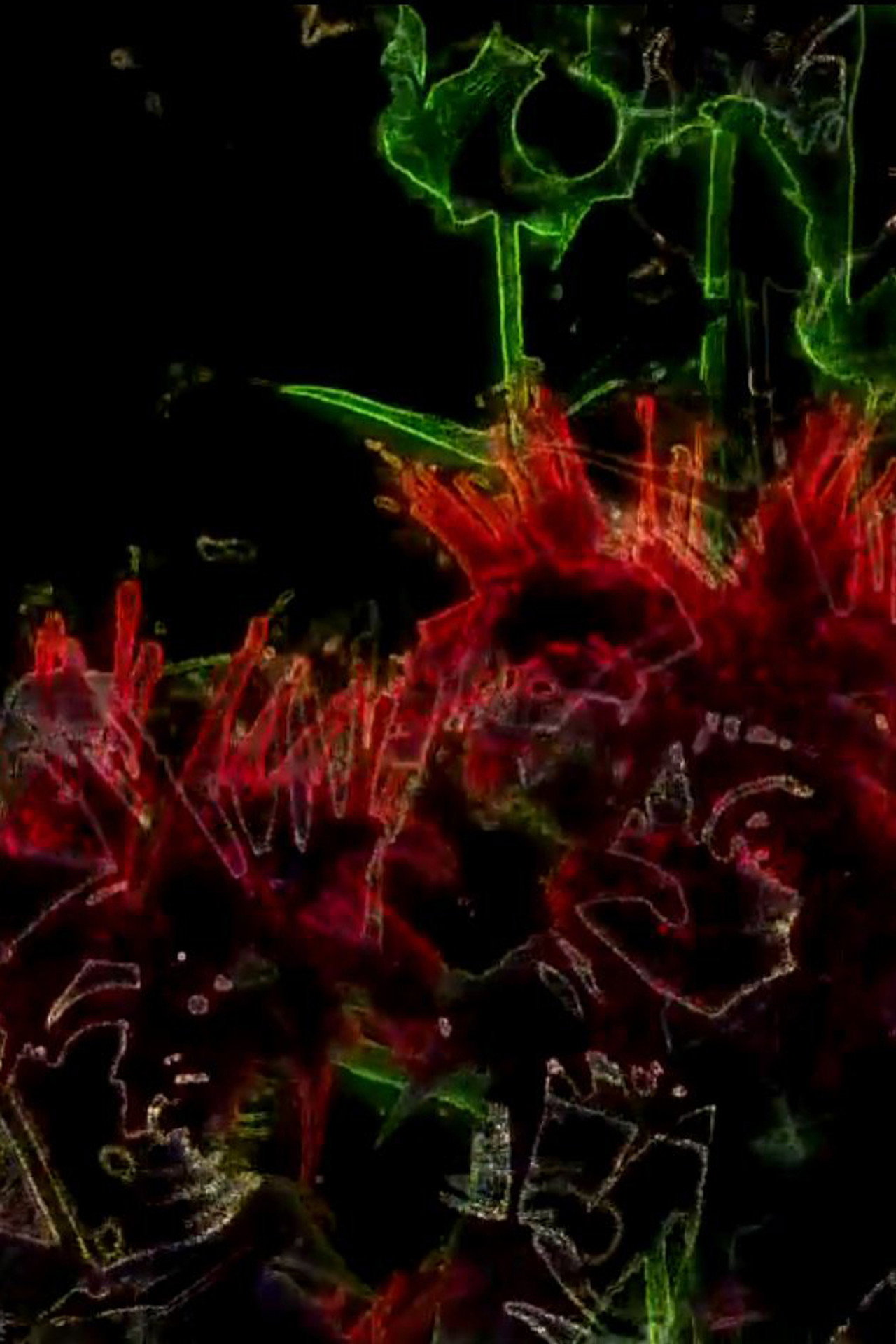 Monarda filmaffisch