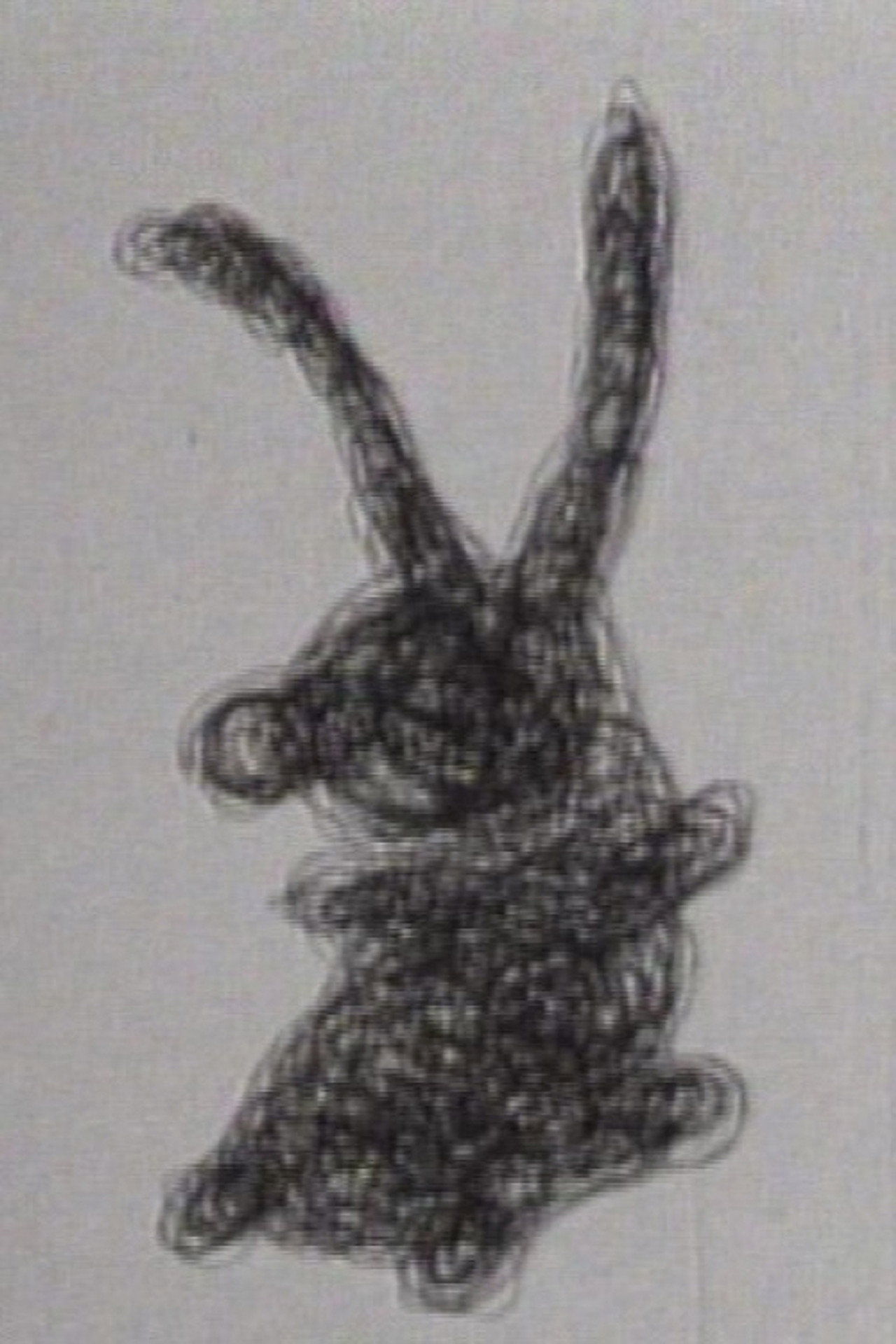 Disegno animato