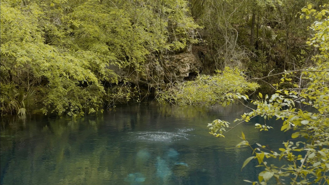 Cave Diving