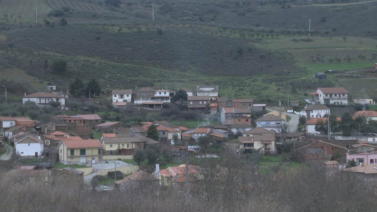 Alfaião still 4