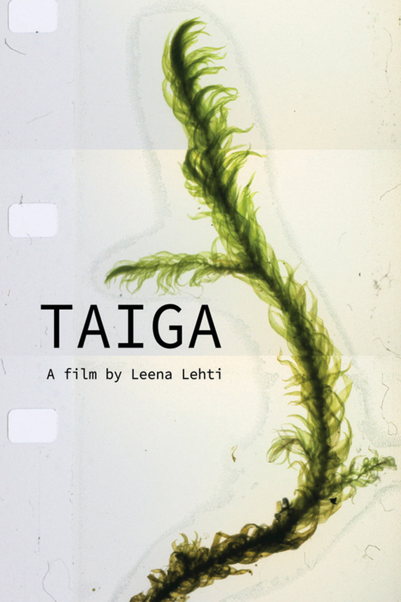 Taiga filmaffisch
