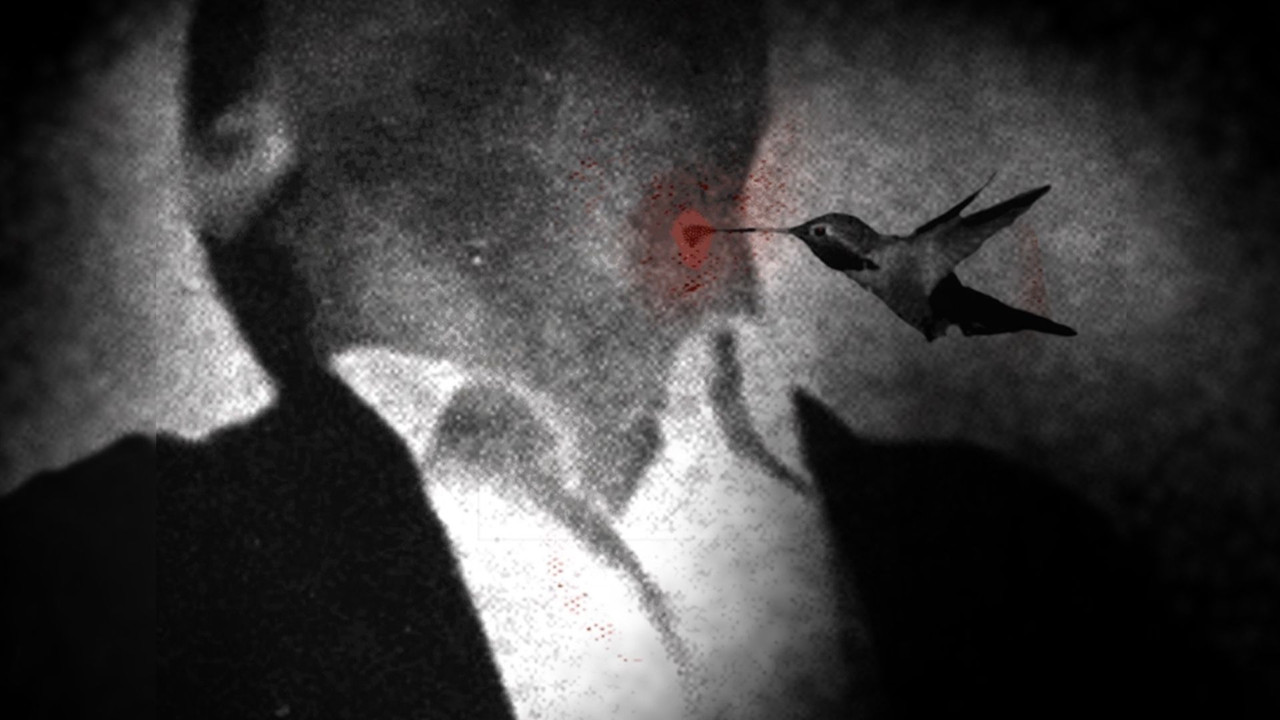 Mendoj se thash po backdrop