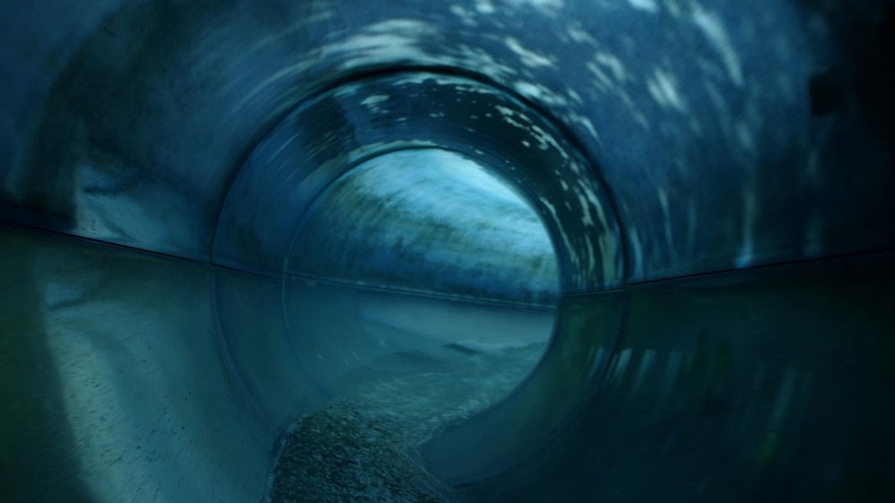 Blood Group backdrop