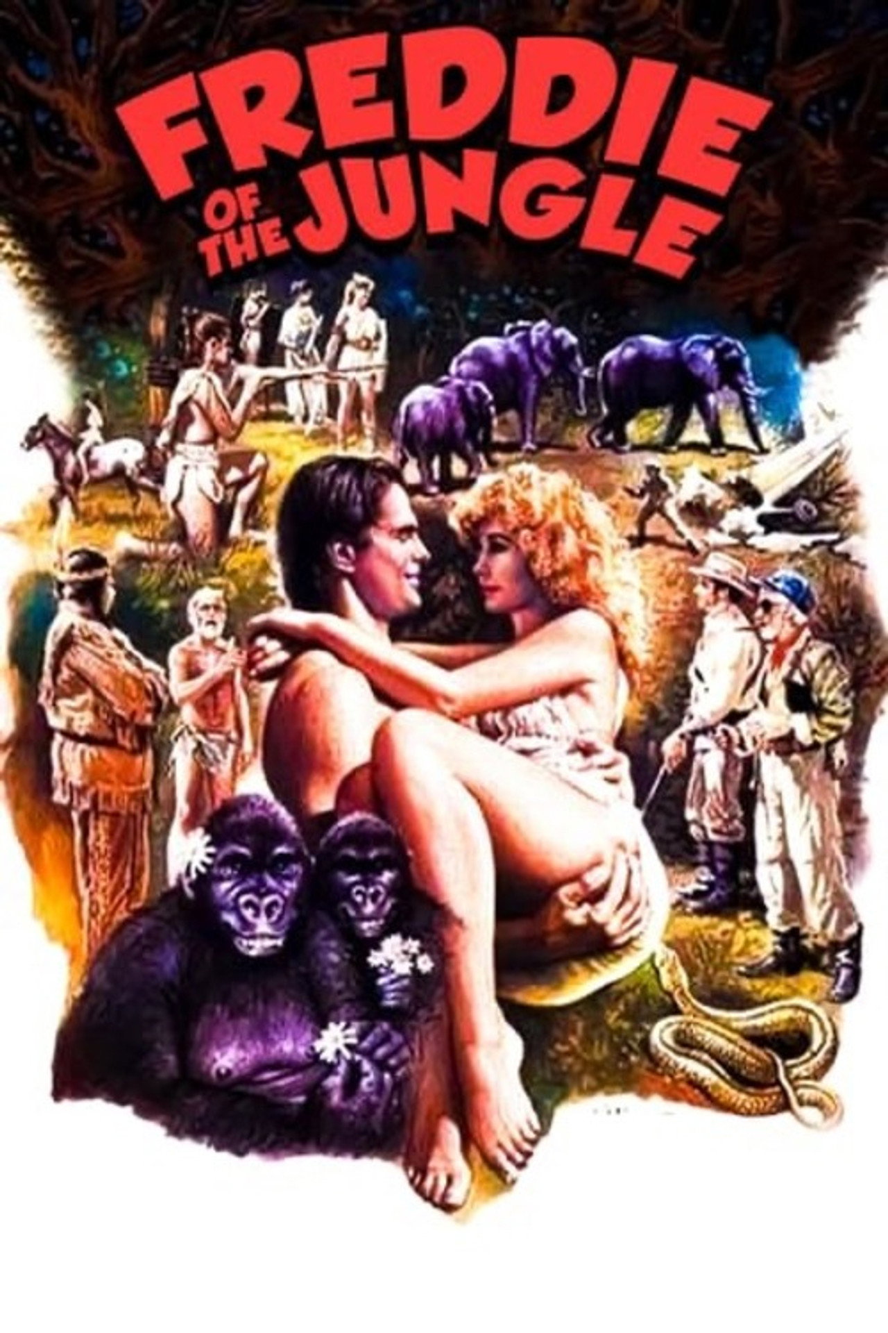 Freddie of the Jungle