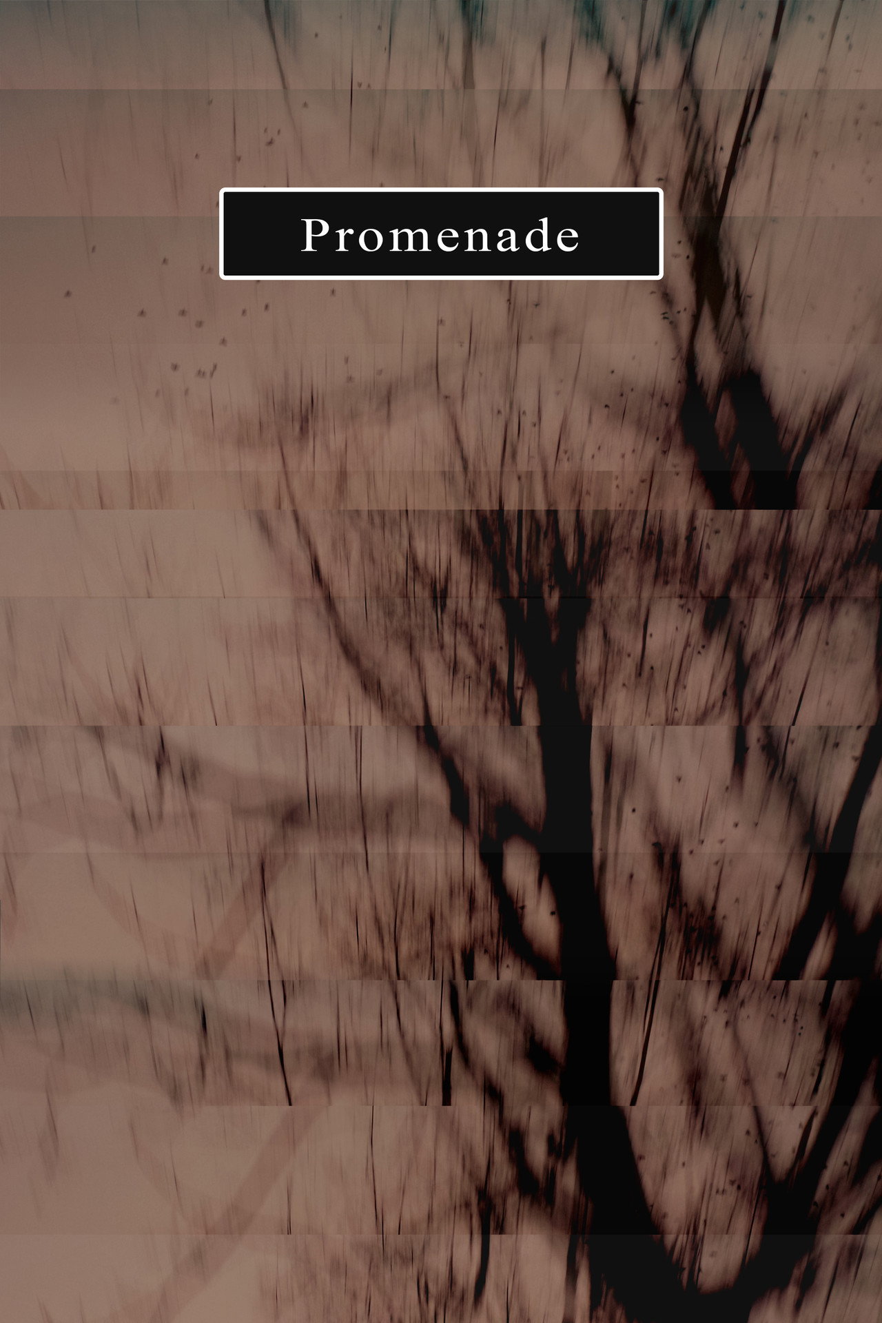 Promenade poster