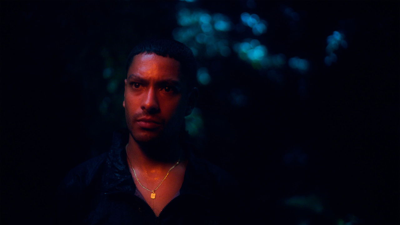 Una noche en la montaña escuché una luz rugir