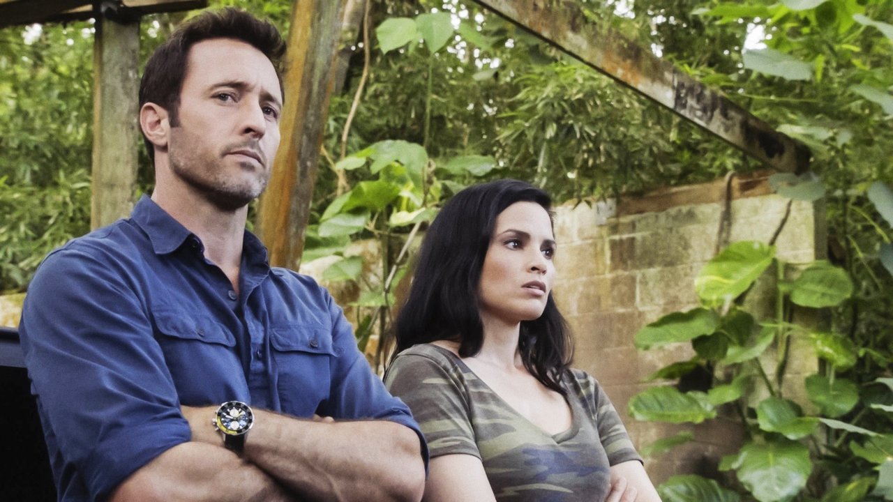 Hawaii Five-0 - Season 10 Episode 3 : E uhi ana ka wa i hala i na mea i hala (Passing Time Obscures the Past)