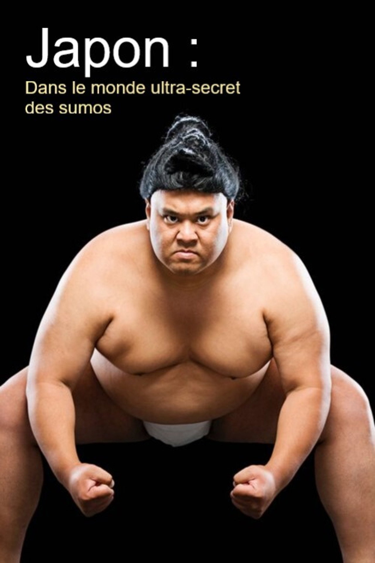 Japon : Dans le monde ultra-secret des sumos filmaffisch
