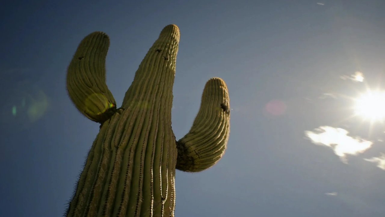 Episode 1