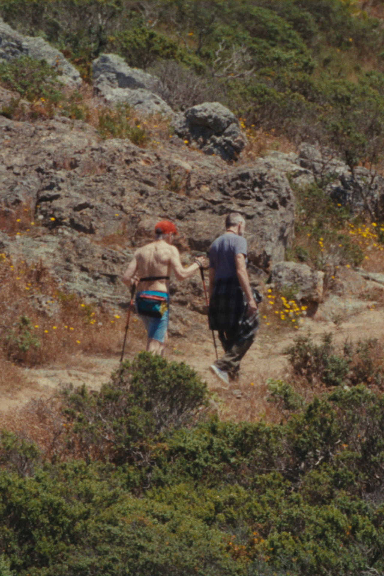 Best Friends on a Summer Hike filmaffisch