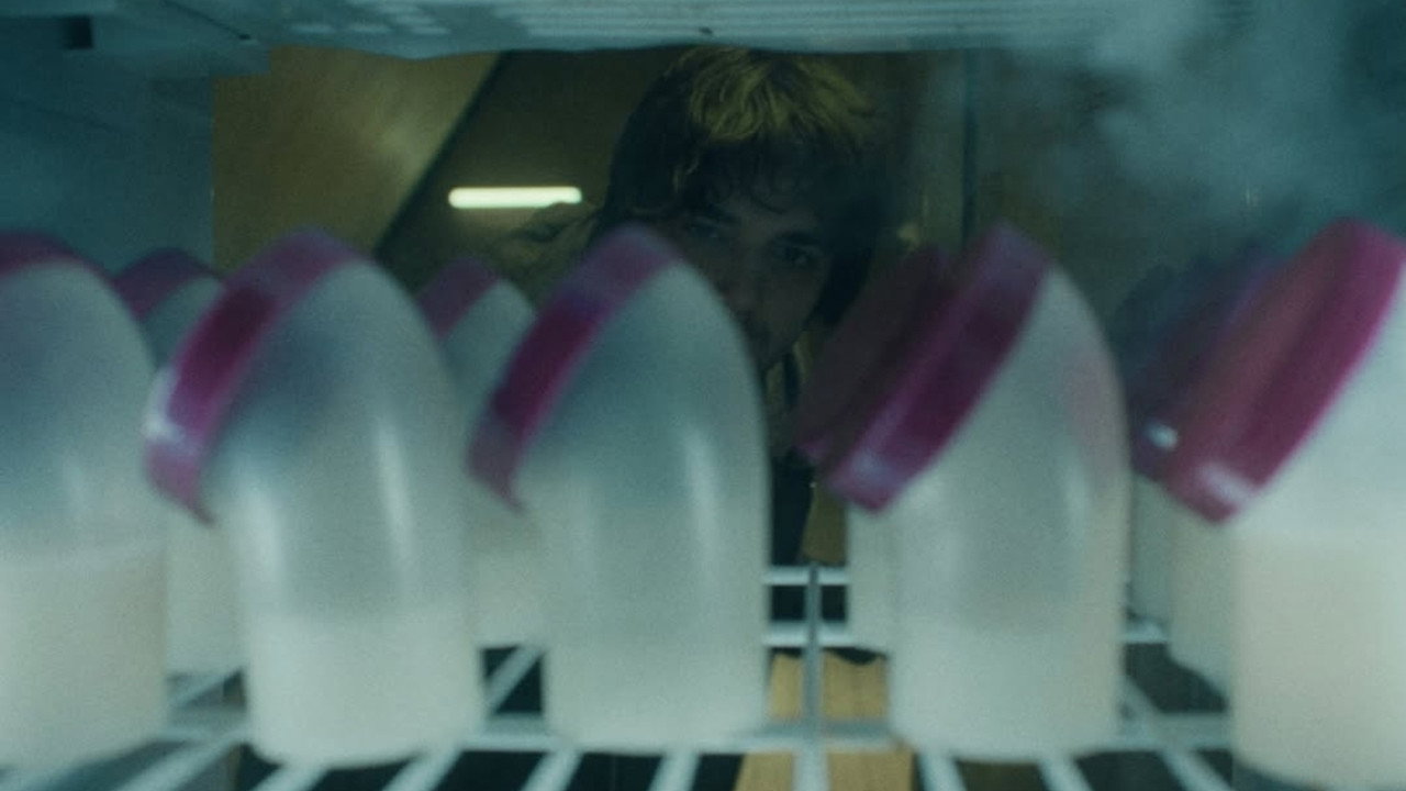 Breeder still 7