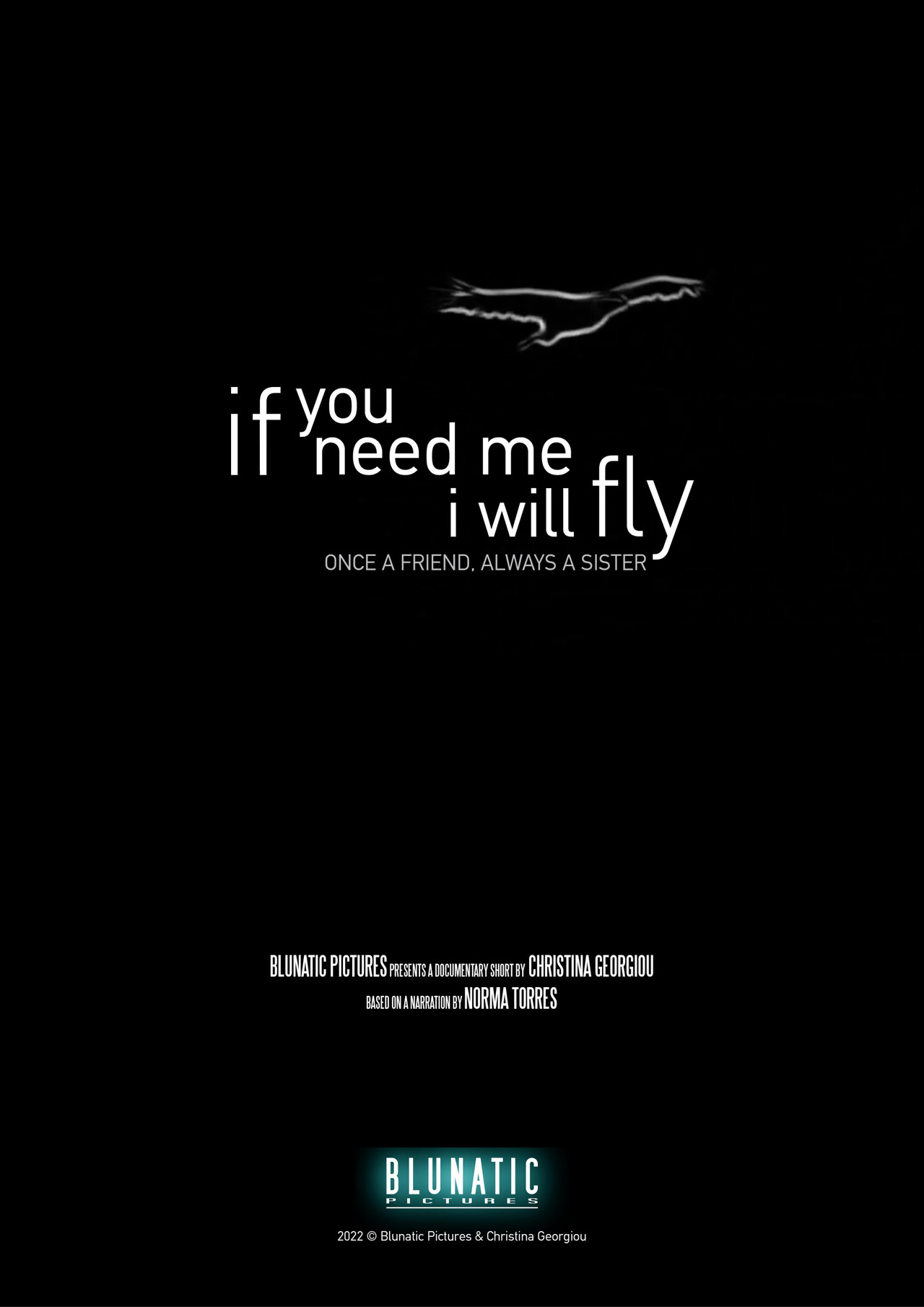 If You Need Me, I Will Fly filmaffisch