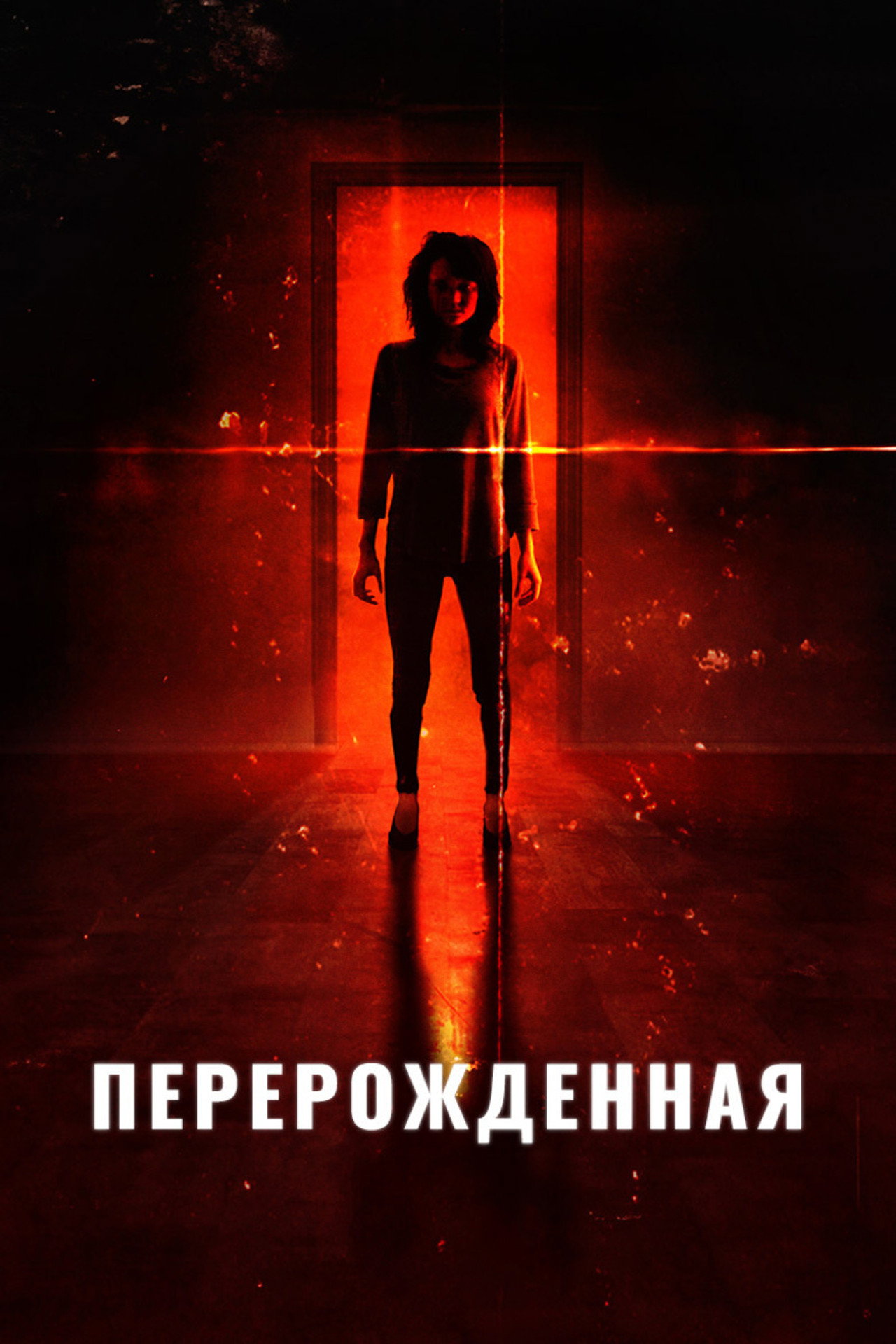 posters 6
