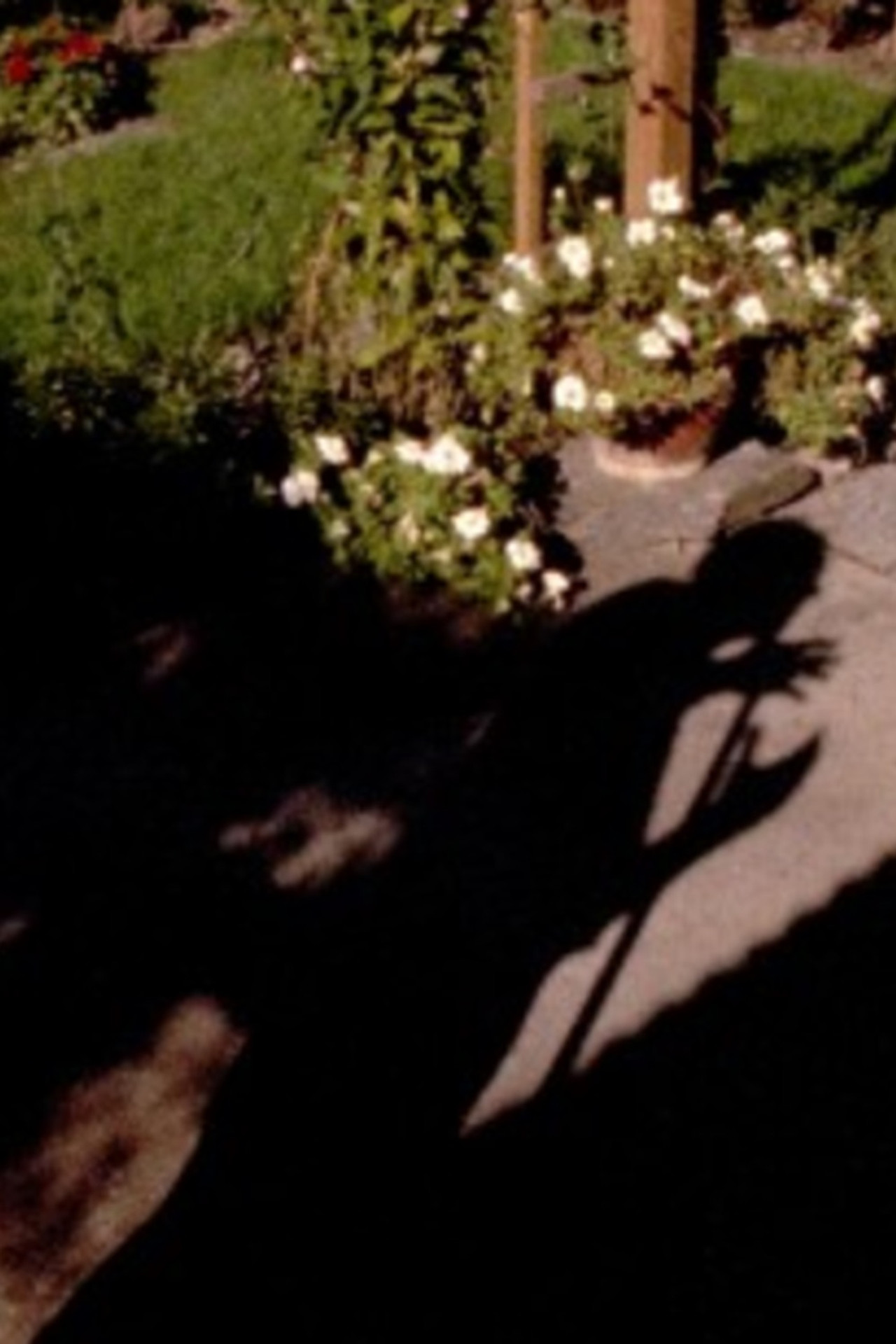 Out in the Garden filmaffisch