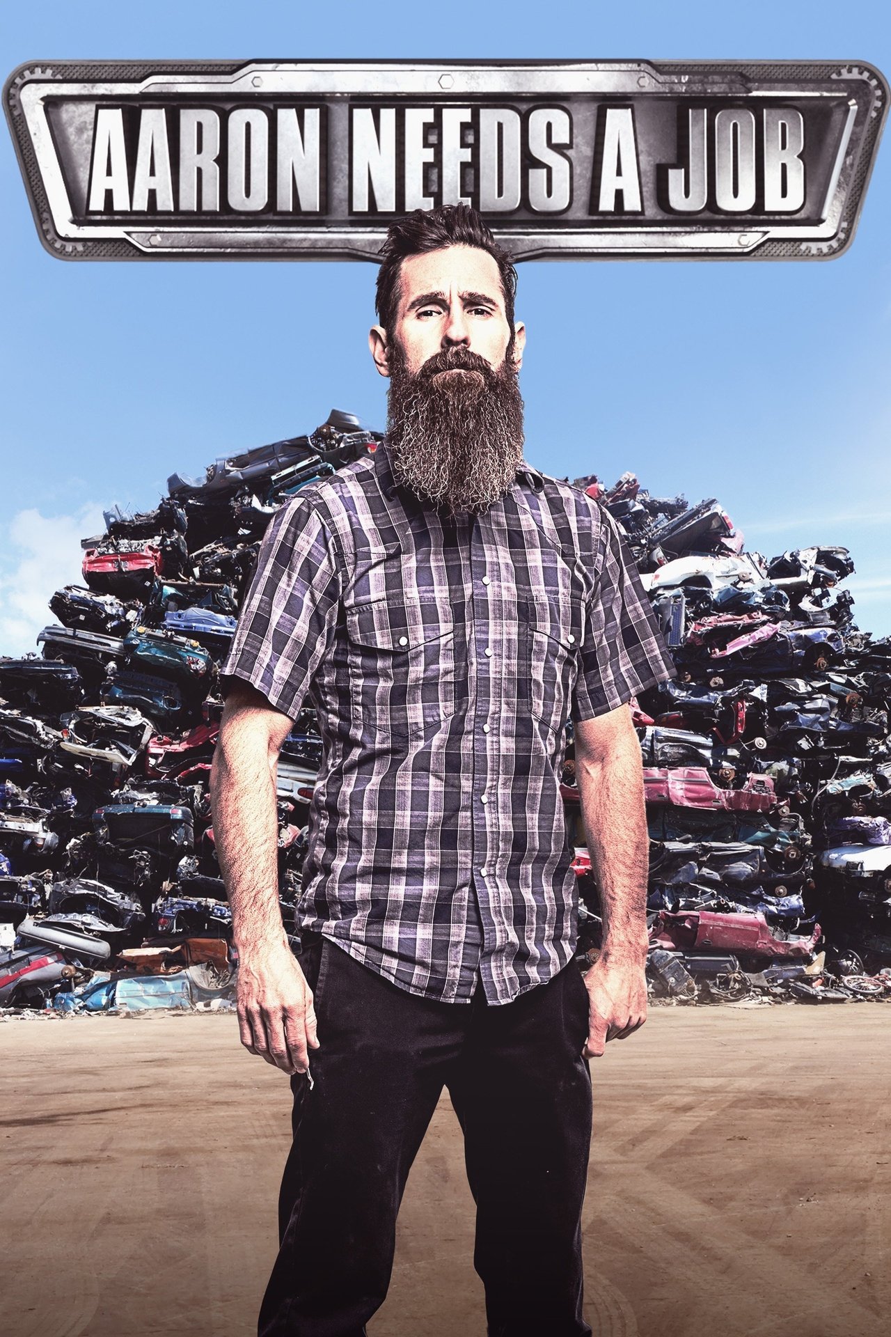 Poster Aaron Needs a Job