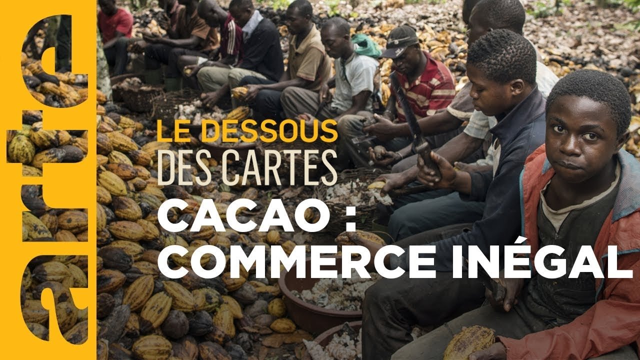 Mapping the World - Season 32 Episode 27 : Cacao: Who Profits from Chocolate?