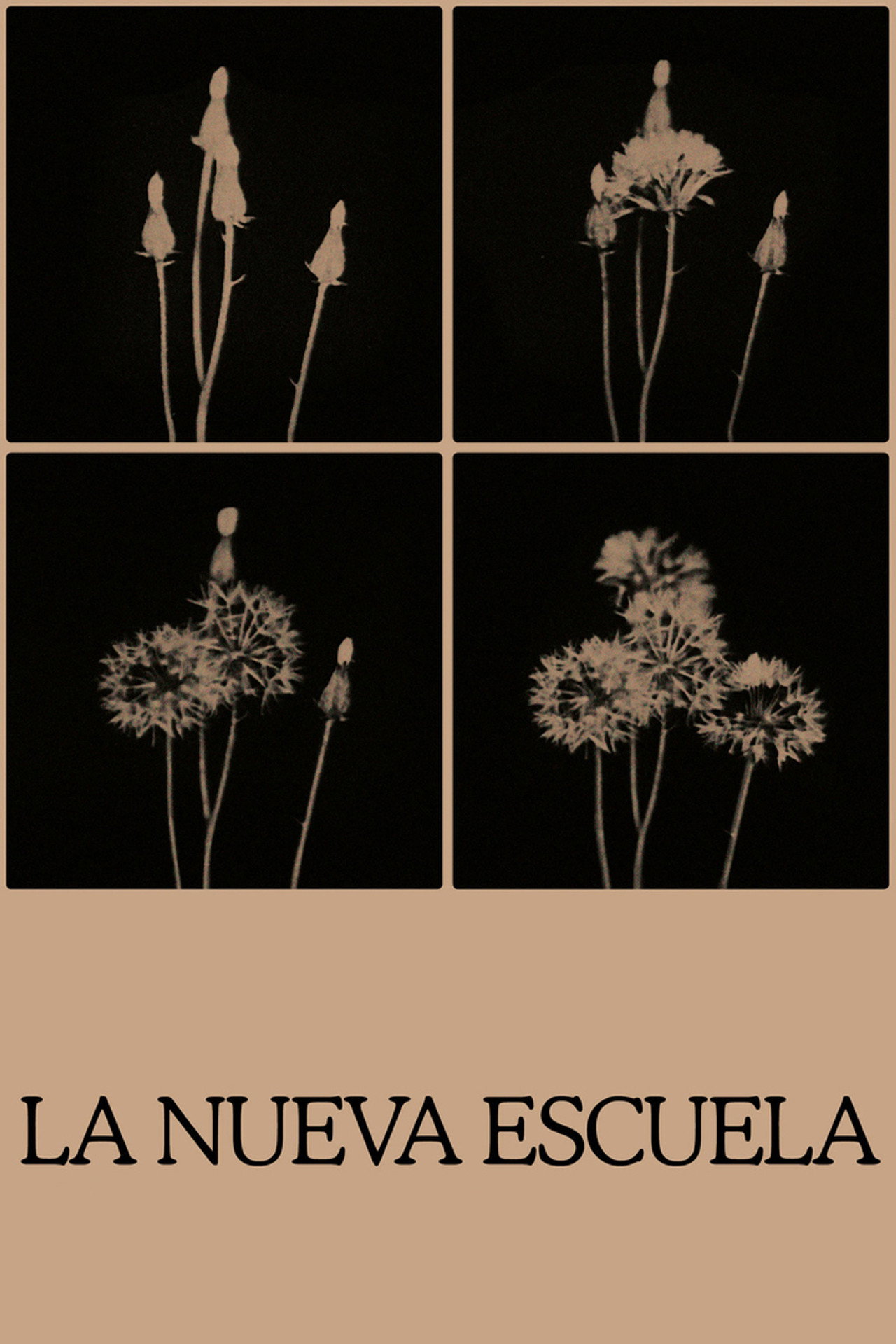 La nova escola filmaffisch