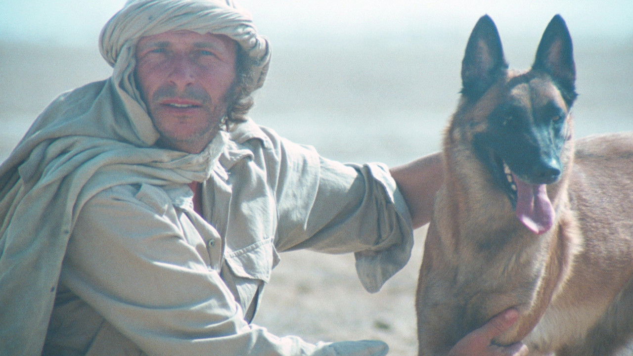 It's Not Me, It's Him backdrop