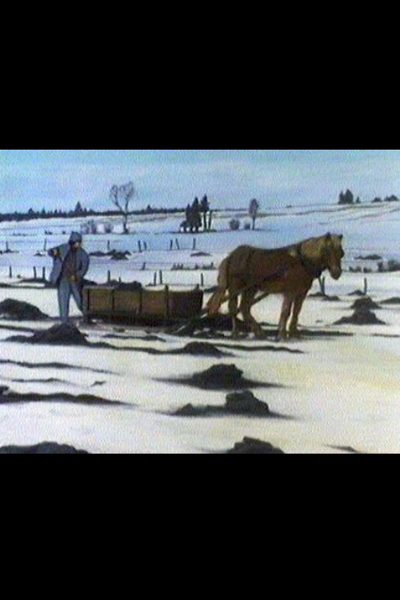 مشاهدة فيلم Canada Vignettes: Mussel Mud مترجم بدون اعلانات - بوستر