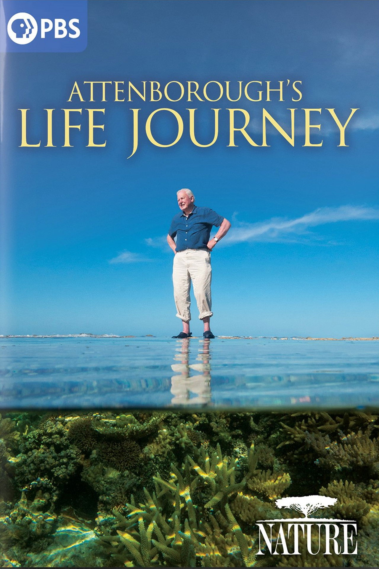 Attenborough's Life Journey Backdrop