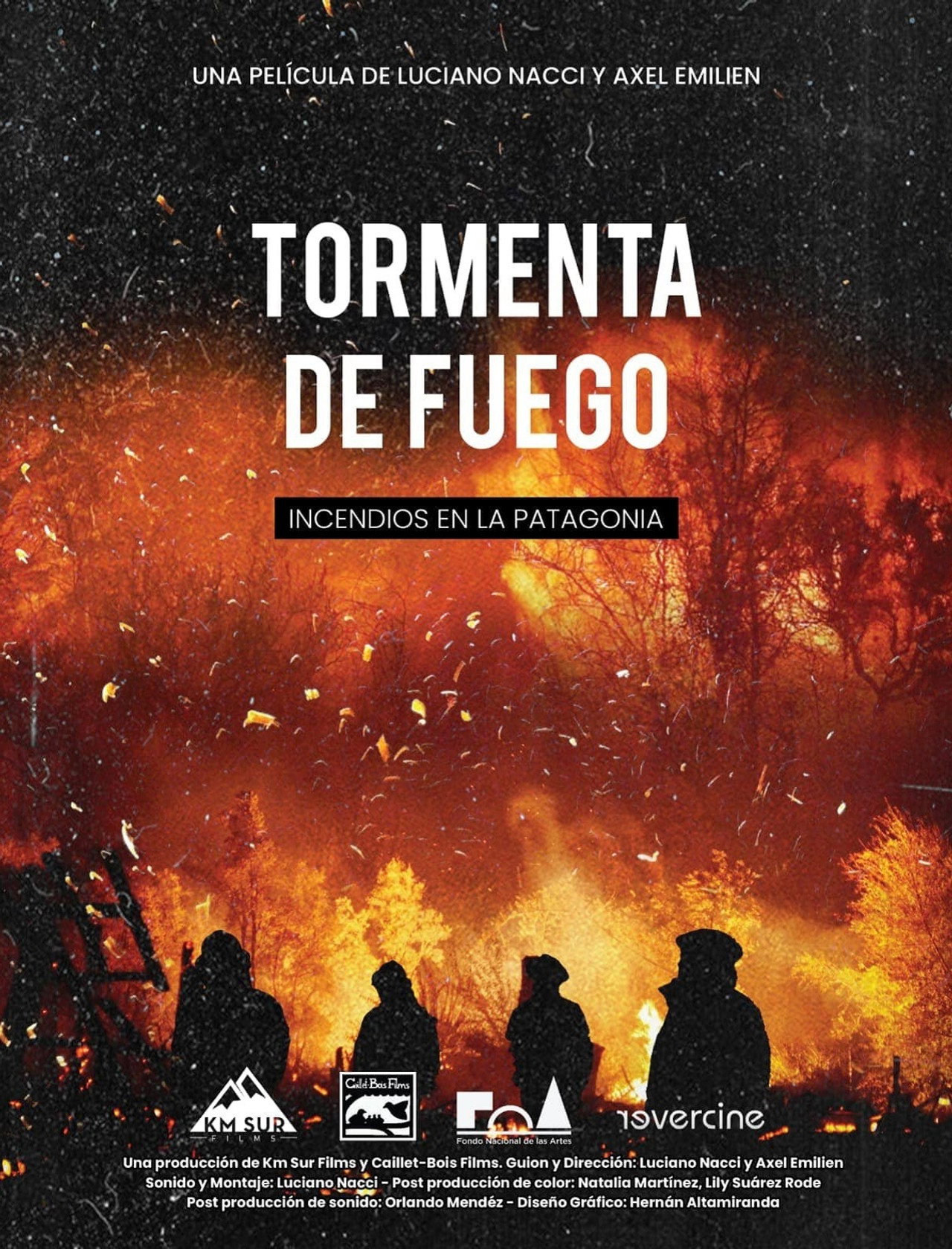 Tormenta de fuego: Incendios en la Patagonia filmaffisch