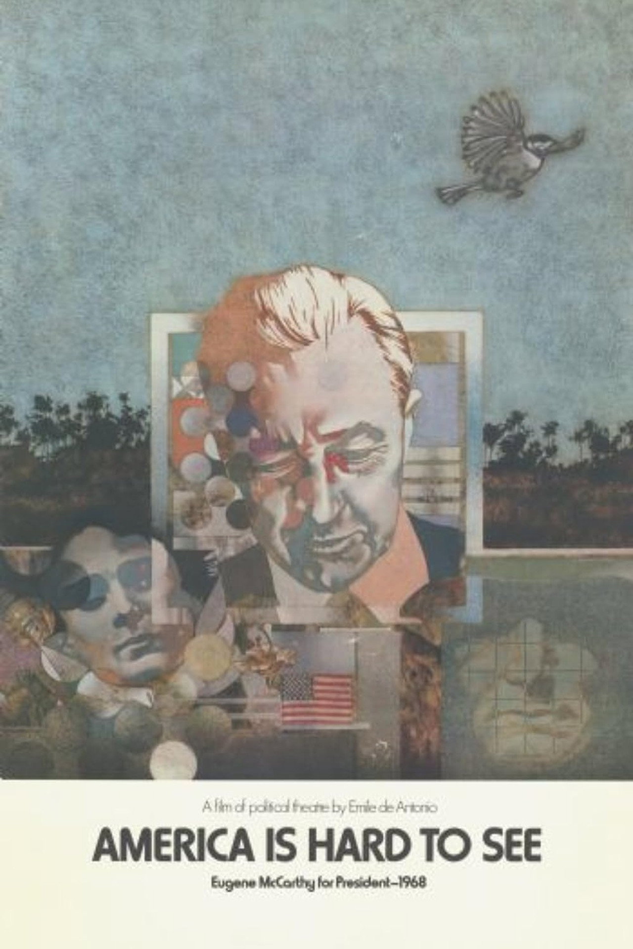 America Is Hard to See Backdrop