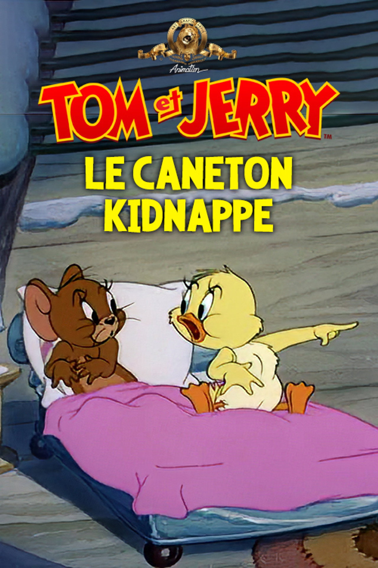 Le caneton kidnappé poster
